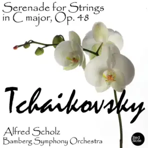 Serenade for Strings in C major, Op. 48: IV. Tema russo