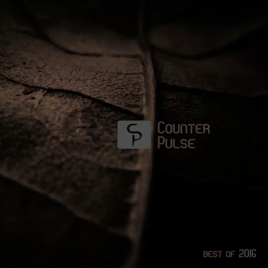 Counter Pulse: Best of 2016