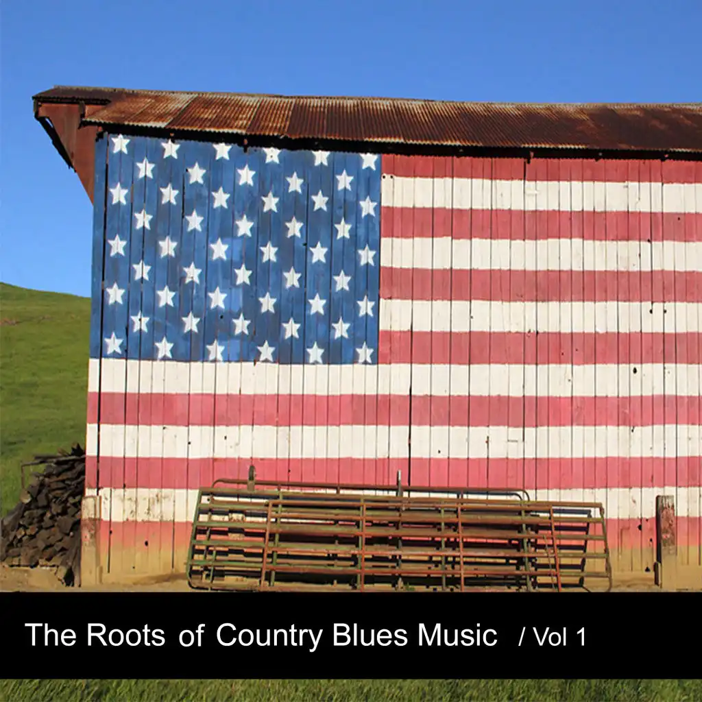 The Roots of Country Blues Music, Vol. 1