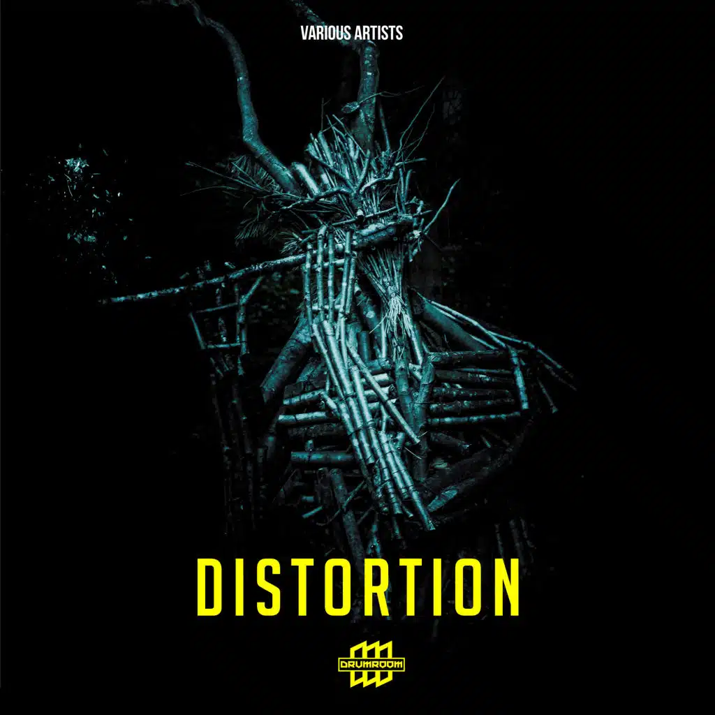 Distortion