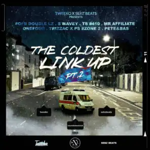 The Coldest Link Up, Pt. 2 (feat. Double Lz, S Wavey, Tiny Syikes, J.B2, Onefour, Trizzac, Ps Hitsquad & Pete & Bas)