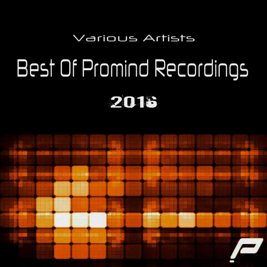 Best Of Promind Recordings 2016