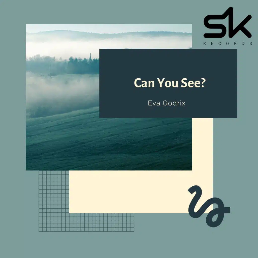 Can You See?