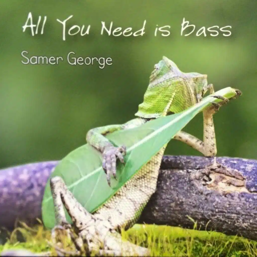 All You Need Is Bass