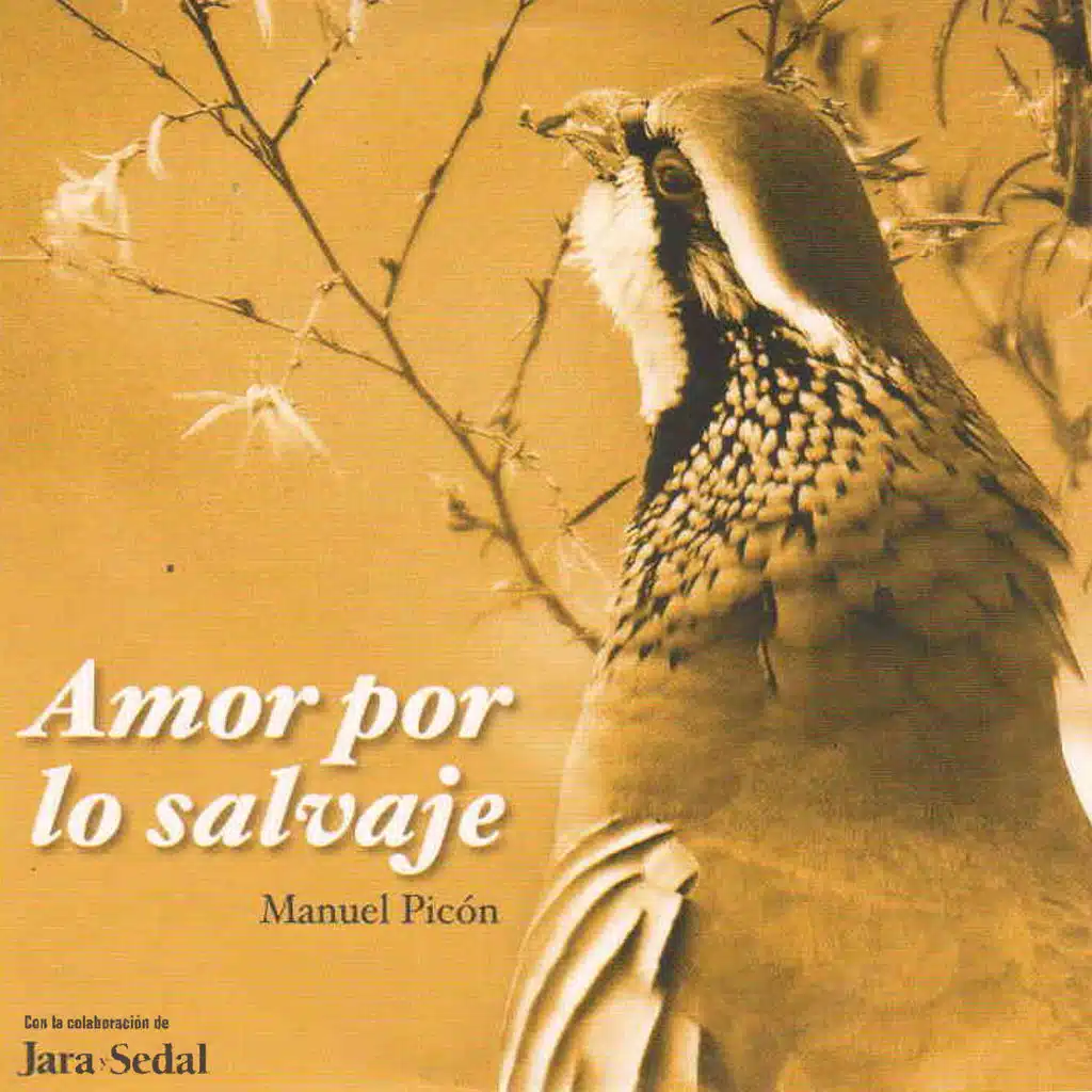 Amor Salvaje