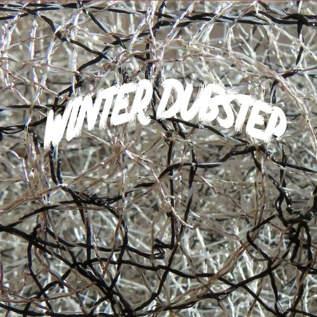 Winter Dubstep