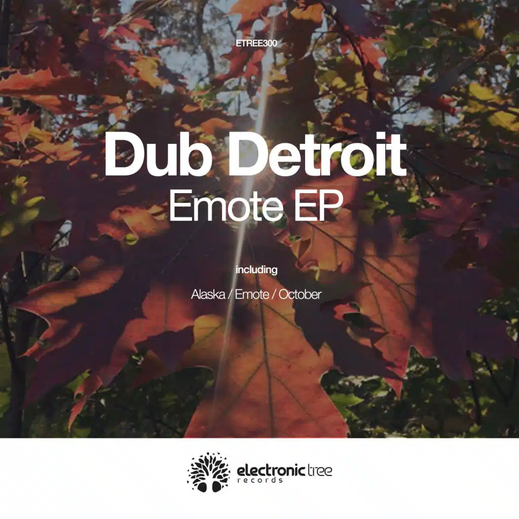 Dub Detroit
