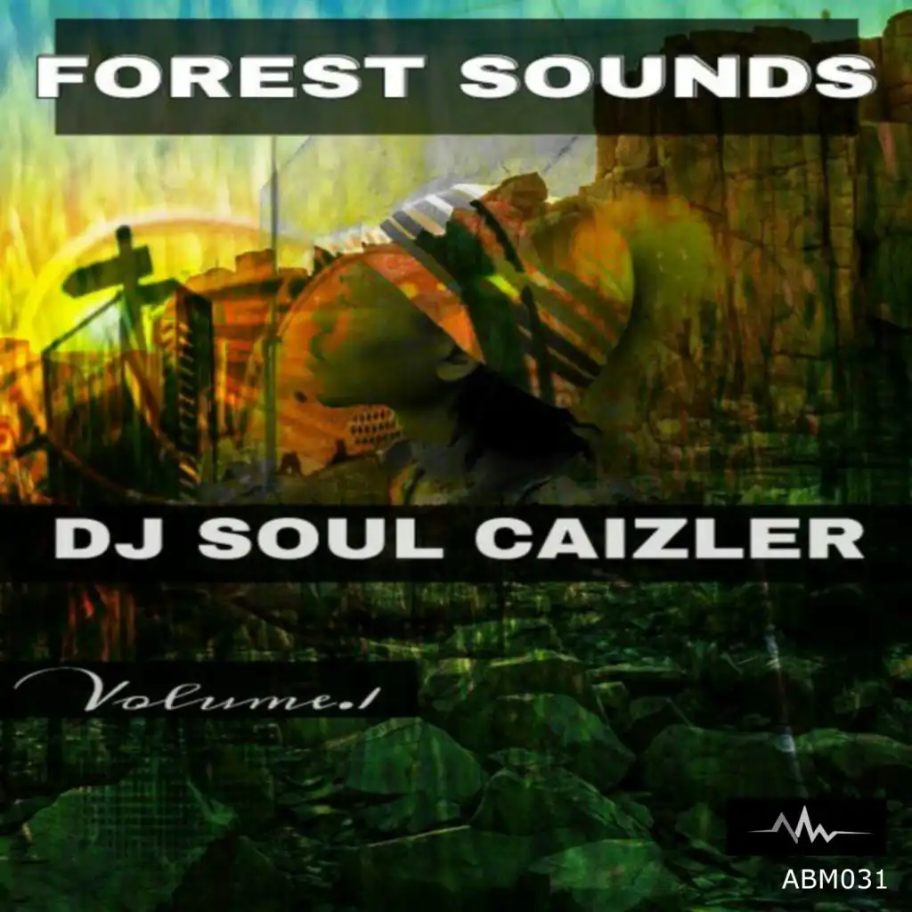 DJ Soul Caizler