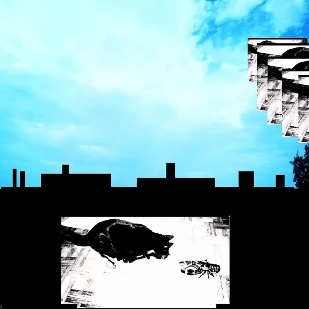 Who (feat. O6reezy Kakaz, Young El & ¥.thekingk)