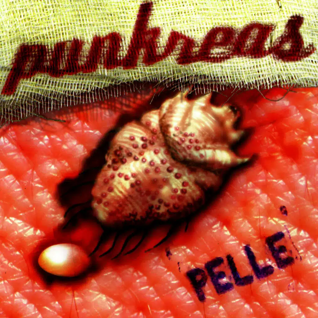 Pelle