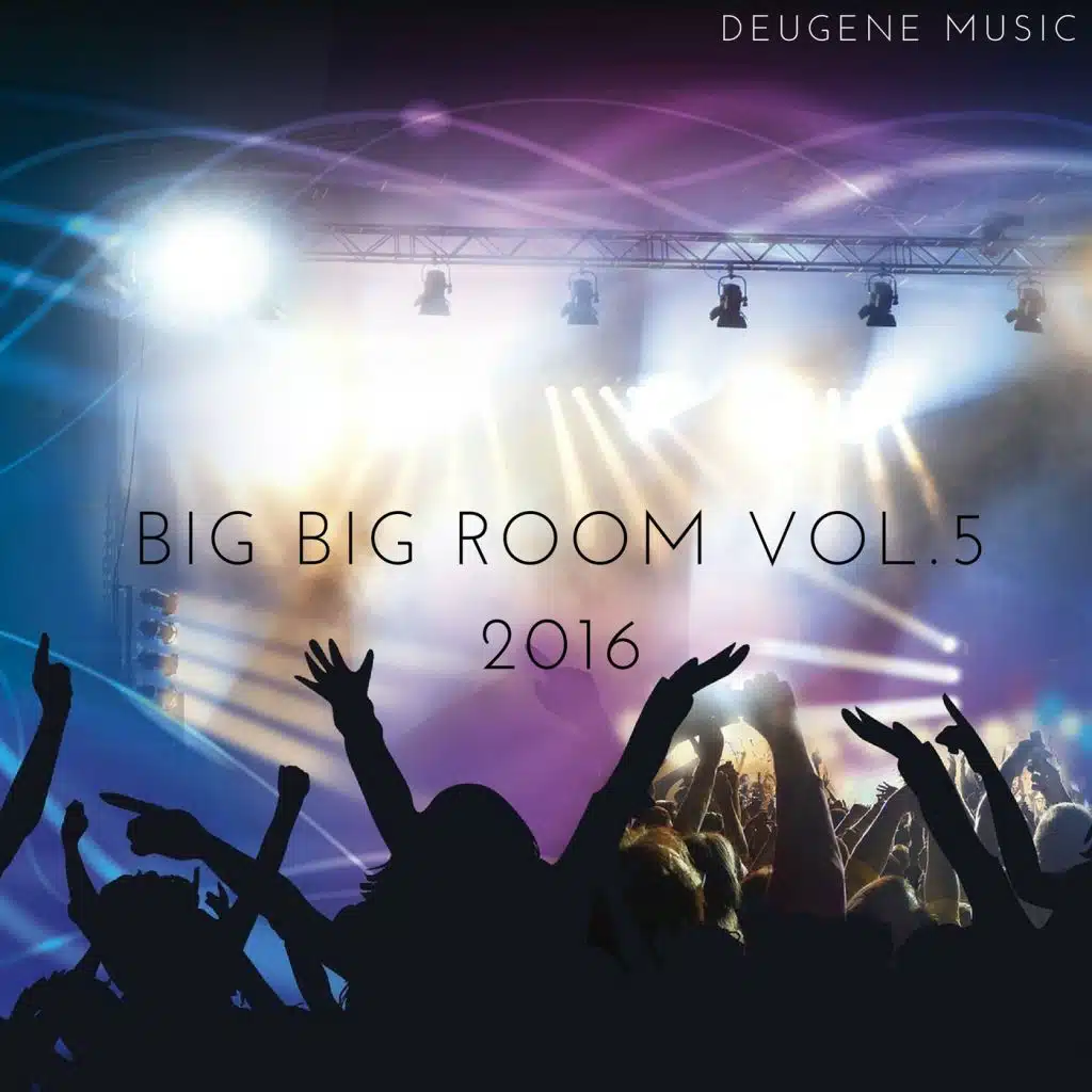 Big Big Room, Vol. 5