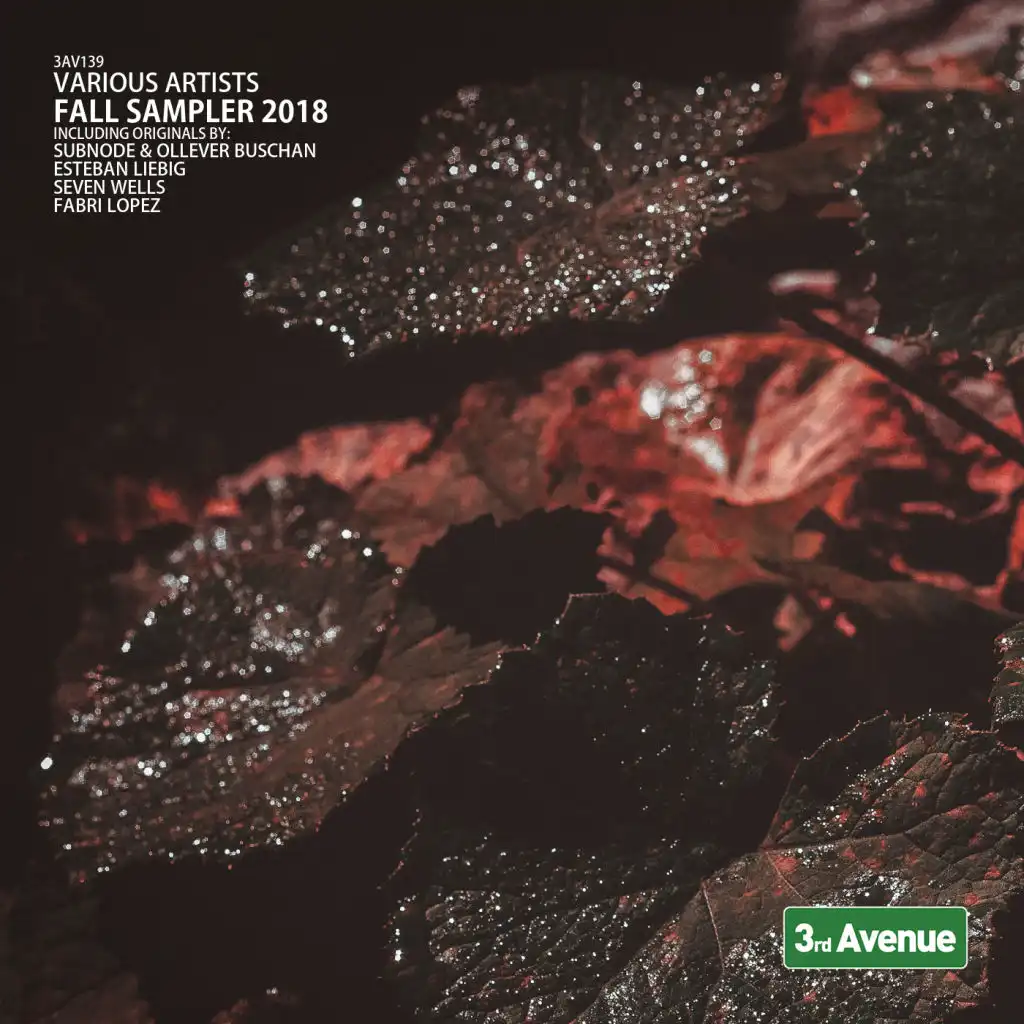 I Hear What Feels Right