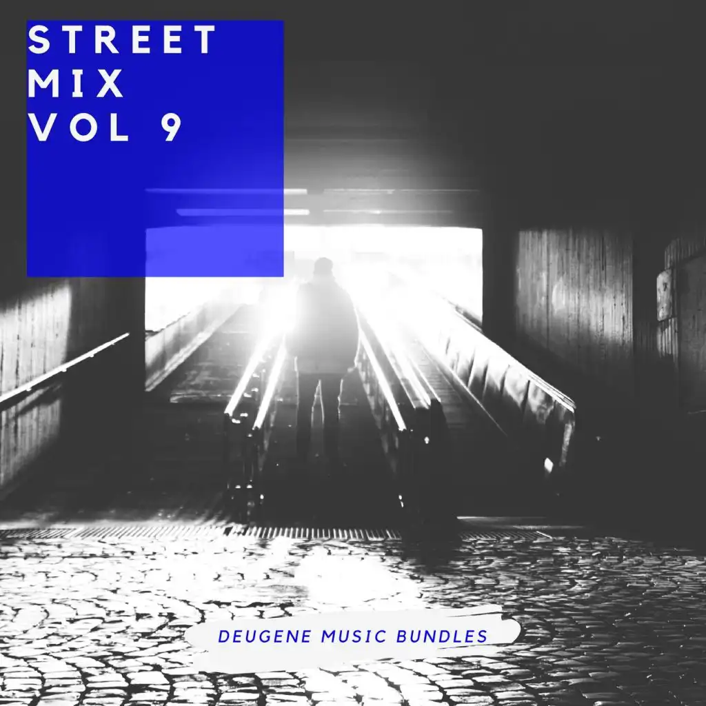 Street Mix, Vol. 9