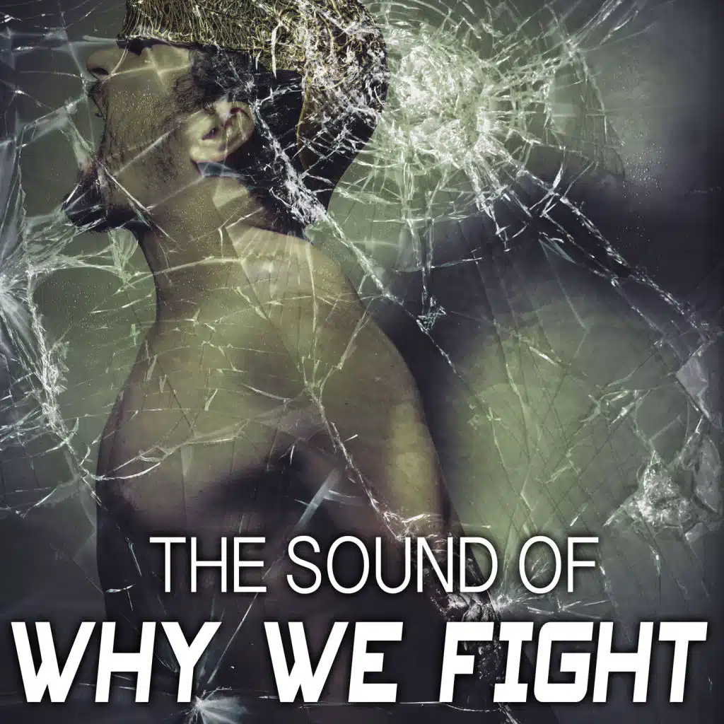 The Sound of Why We Fight