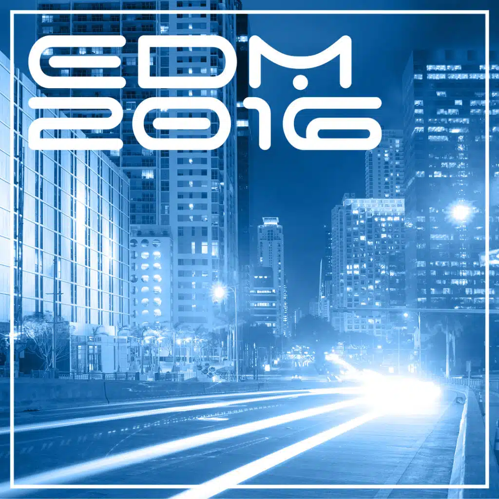 EDM 2016 (feat. Traumton)