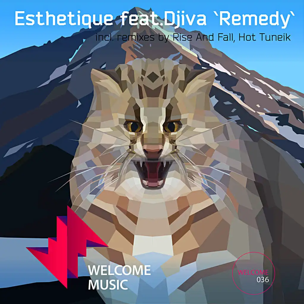 Remedy (feat. Hot TuneiK & Rise And Fall)