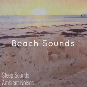 Beach Background & Tropical Sounds