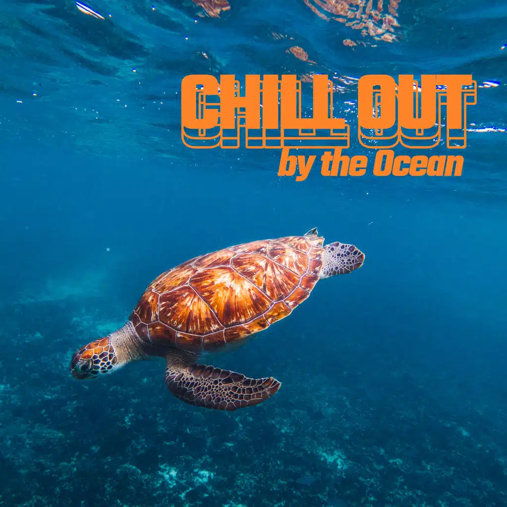 Chill Out by the Ocean