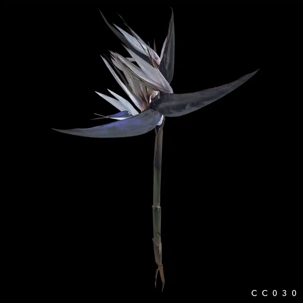 Forget Our Love Remixes (feat. Kieran Fowkes)