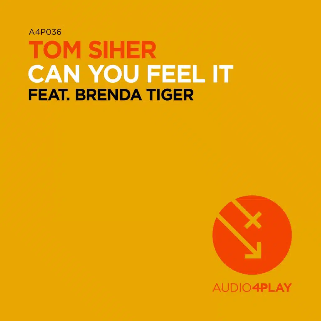 Can You Feel It (feat. Brenda Tiger)
