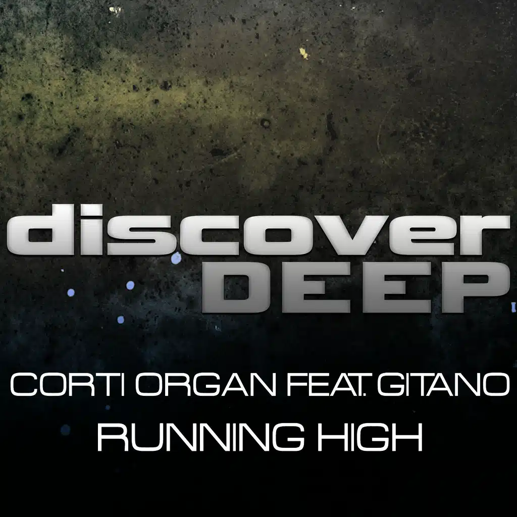 Running High (Parasympaticus Mix)