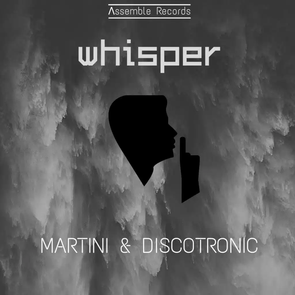 VINI LAWZ & Discotronic