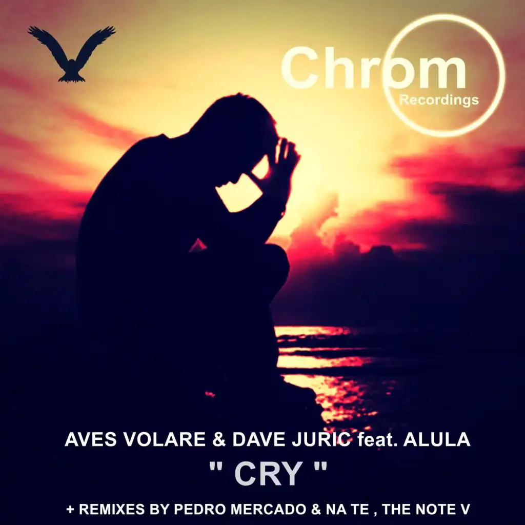 Cry (The Note V Remix)