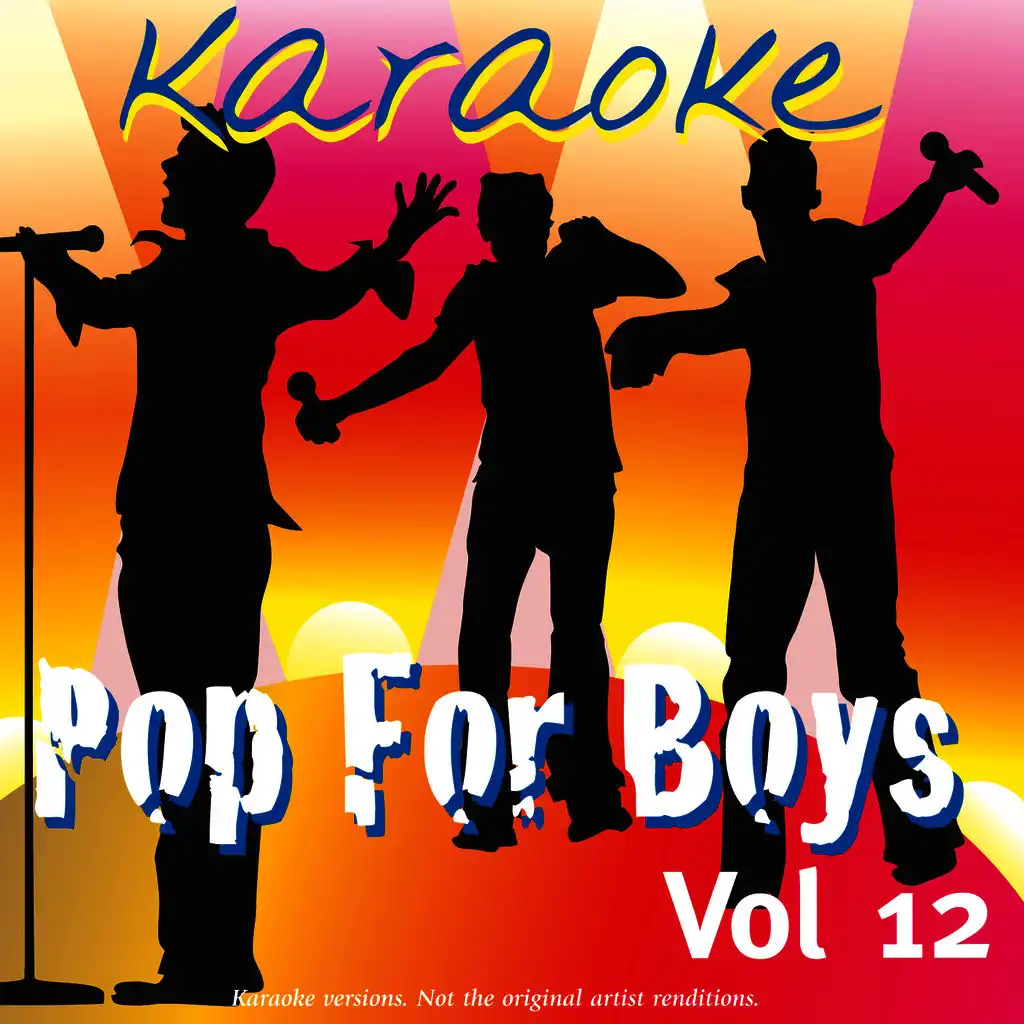 Karaoke - Pop For Boys Vol.12