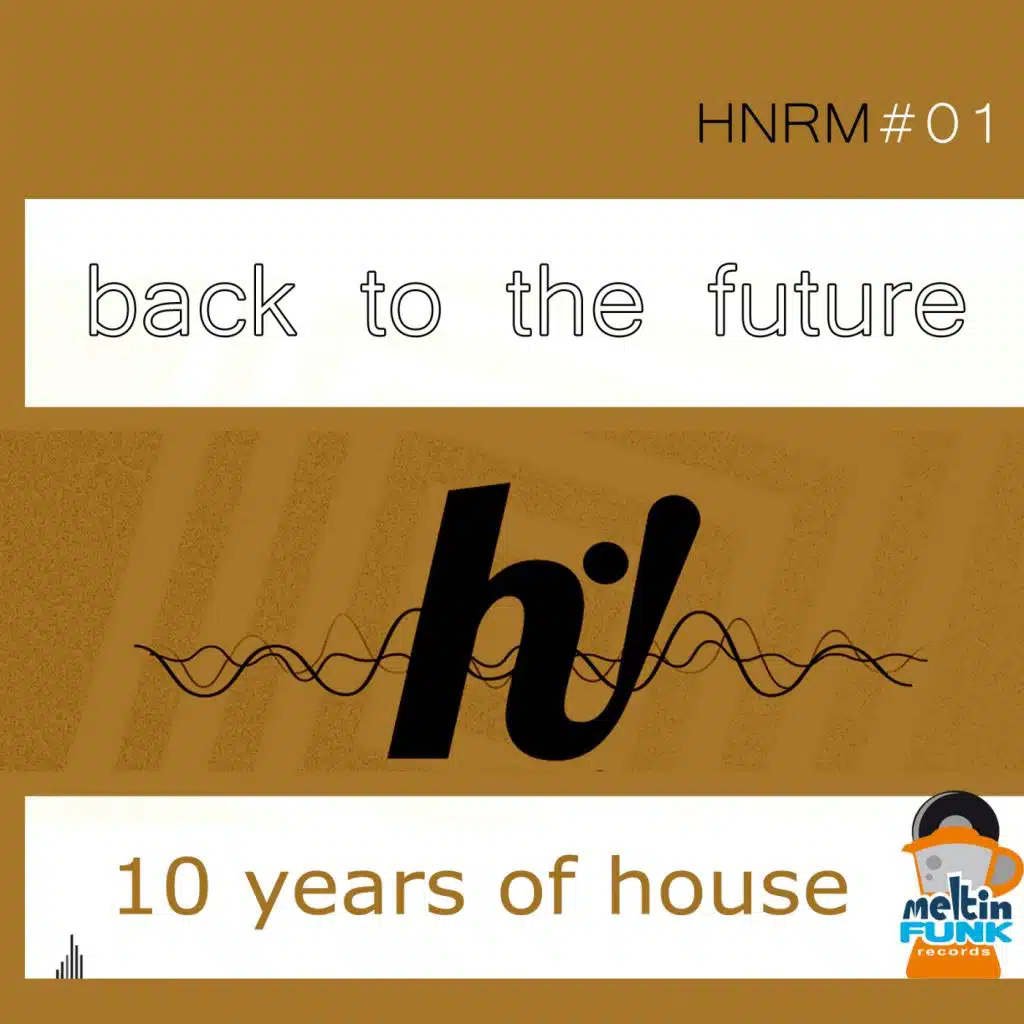 Low High (Funk Protectors Remix)