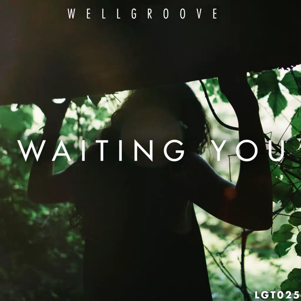 Wellgroove