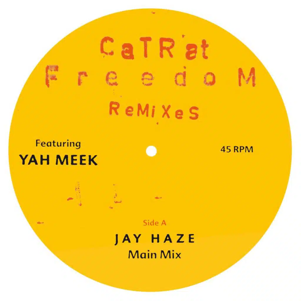 Freedom (Jay Haze Dub Remix) [feat. Yah Meek]