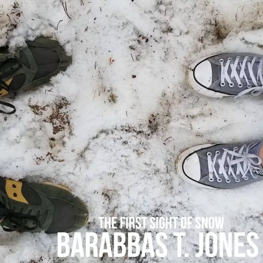 The First Sight of Snow