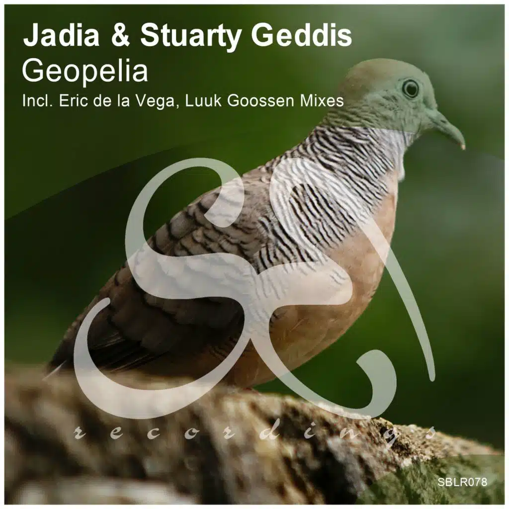 Jadia & Stuarty Geddis