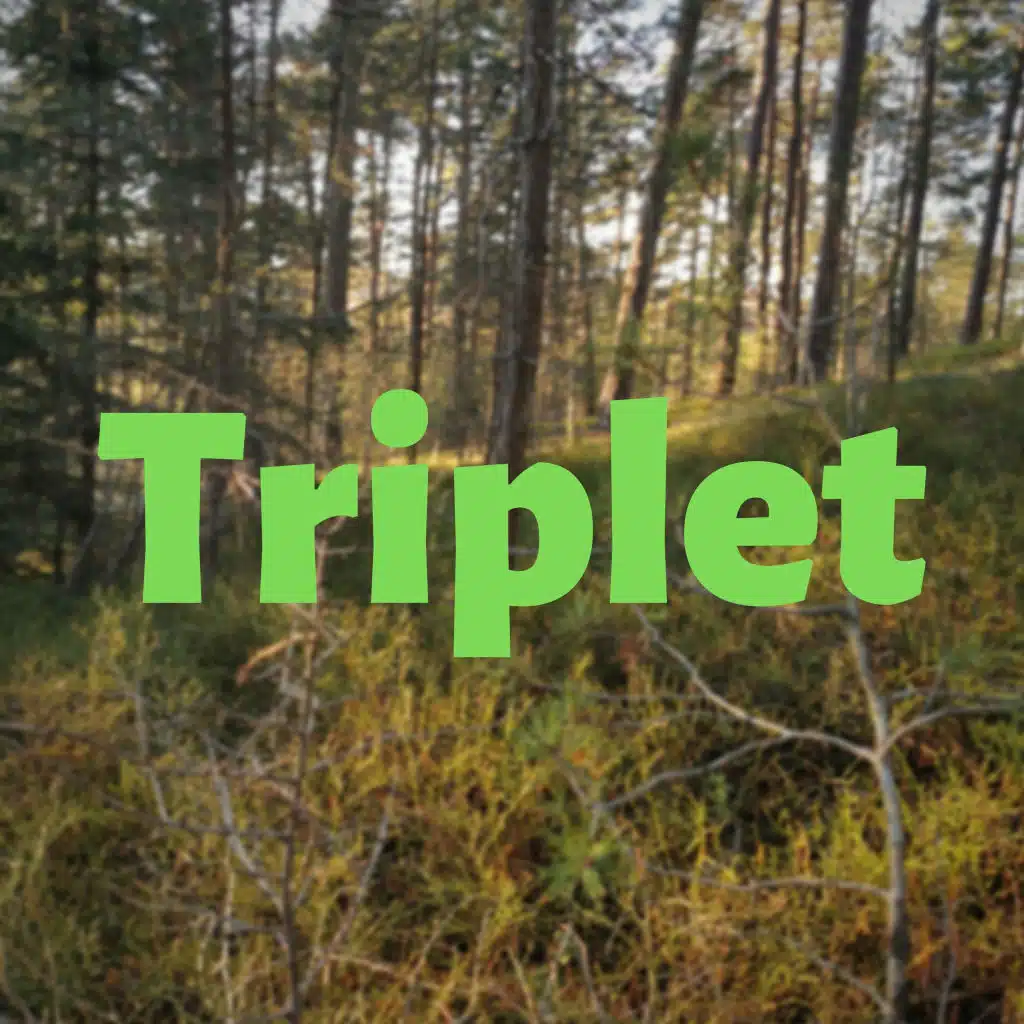 Triplet