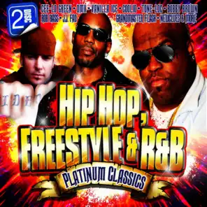 Hip Hop, Freestyle & R&B Platinum Classics (Re-Recorded / Remastered Versions)