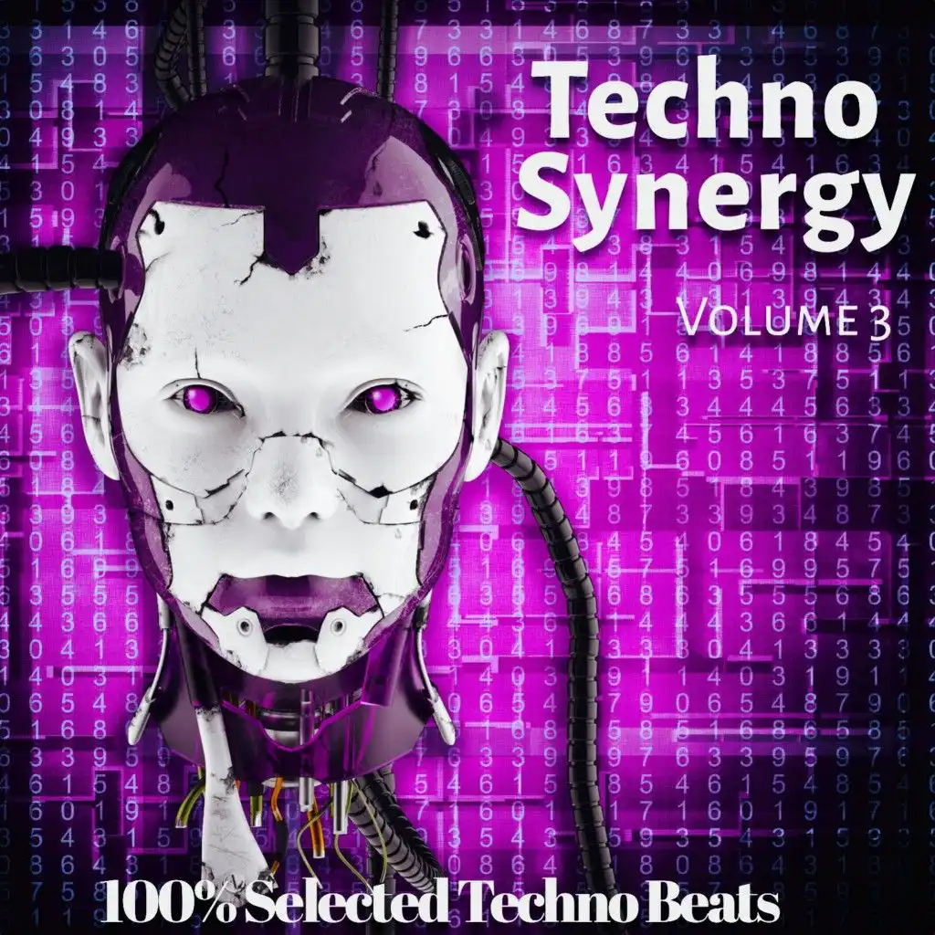 Techno Synergy, Vol. 3 (100% Selected Techno Beats)