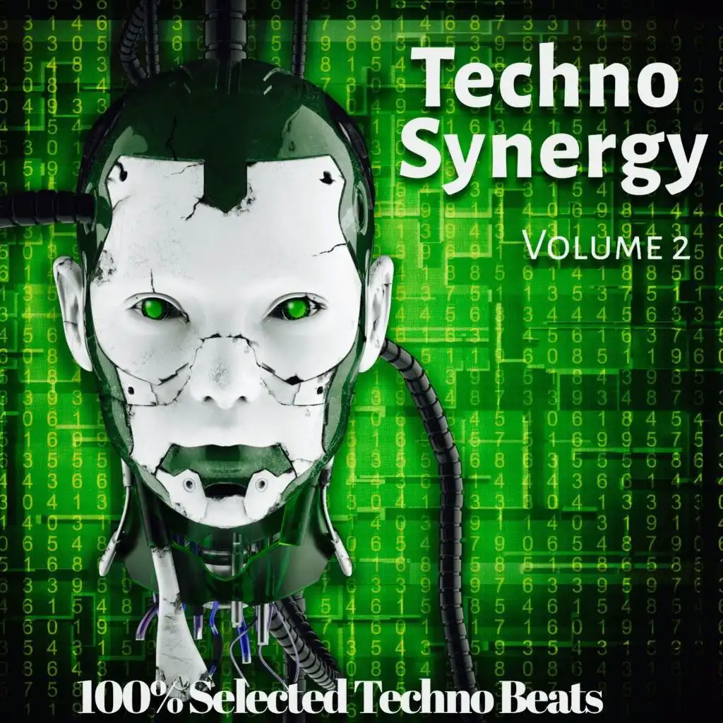 Techno Synergy, Vol. 2 (100% Selected Techno Beats)