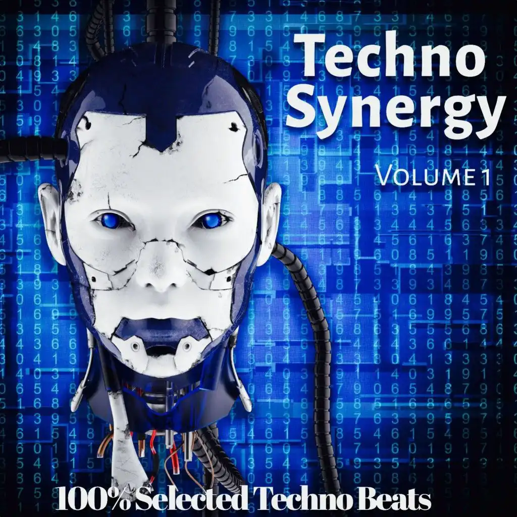 Techno Synergy, Vol. 1 (100% Selected Techno Beats)