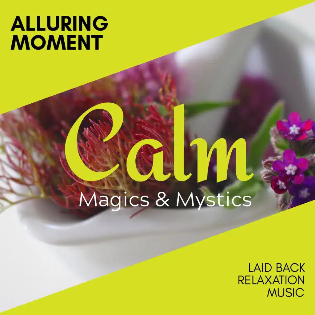 Alluring Moment - Laid Back Relaxation Music