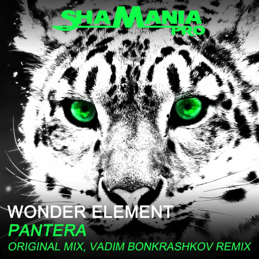 Pantera (Vadim Bonkrashkov Remix)