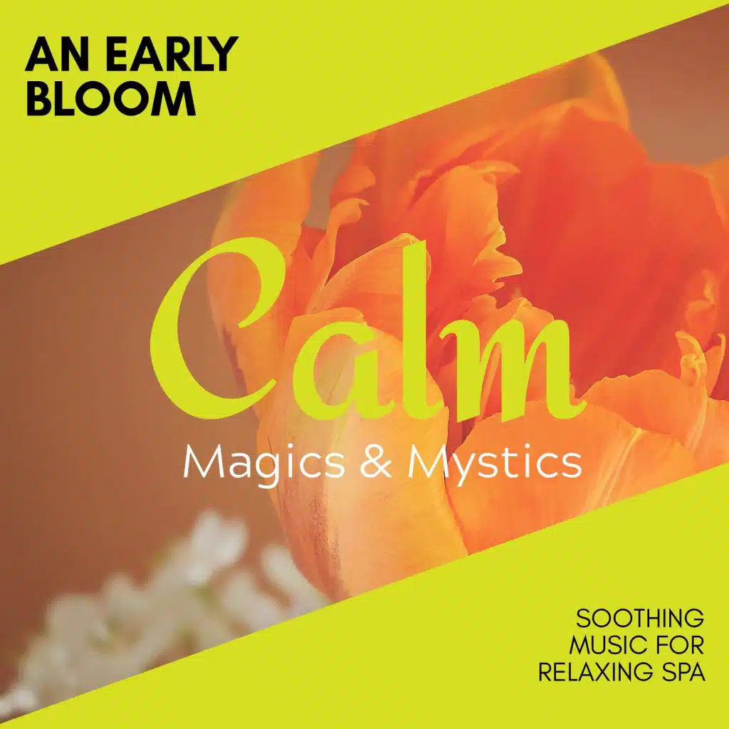 An Early Bloom - Soothing Music for Relaxing Spa