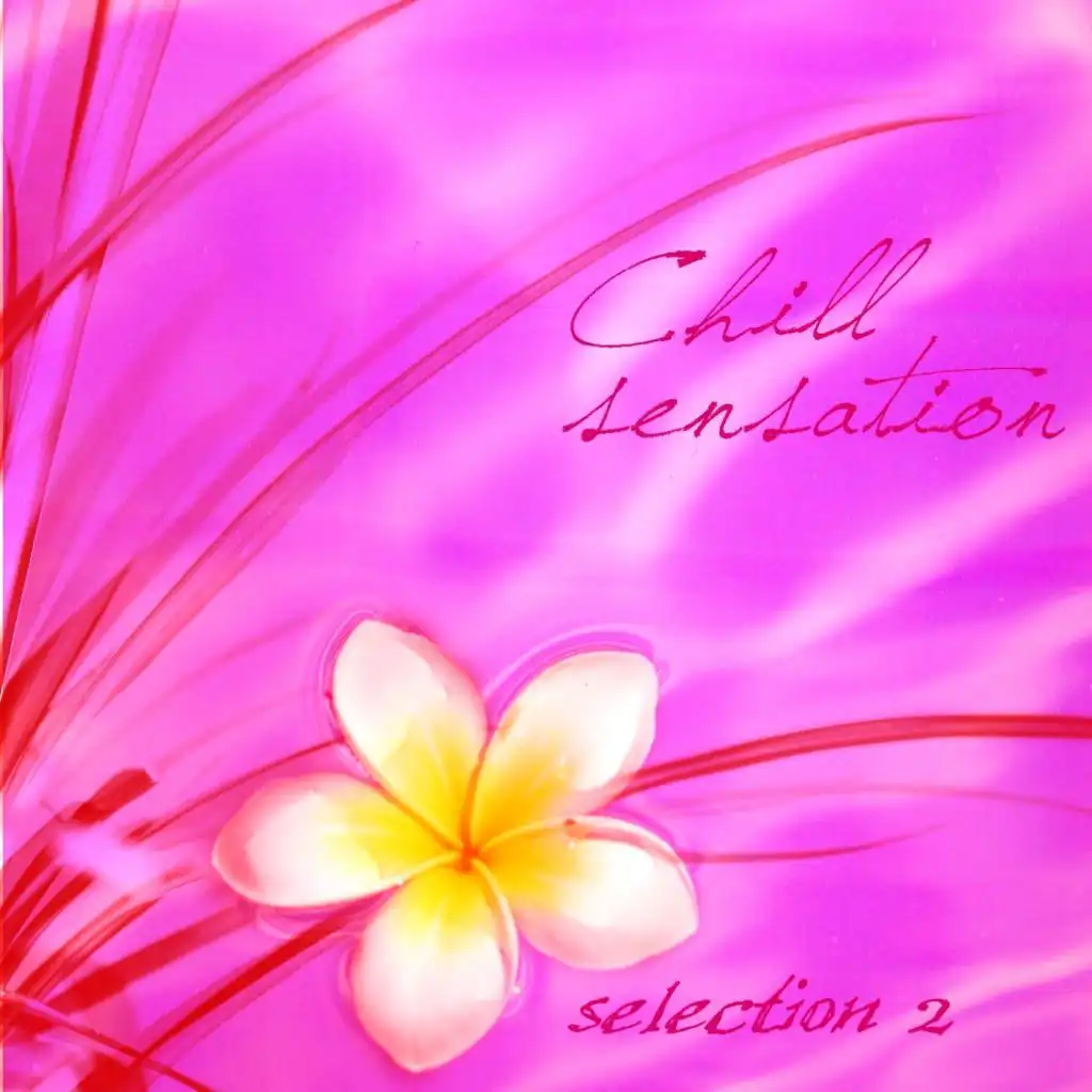 Chill Sensation - Selection 2