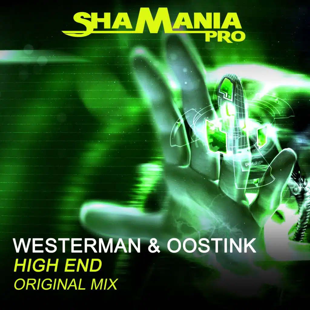 Westerman & Oostink