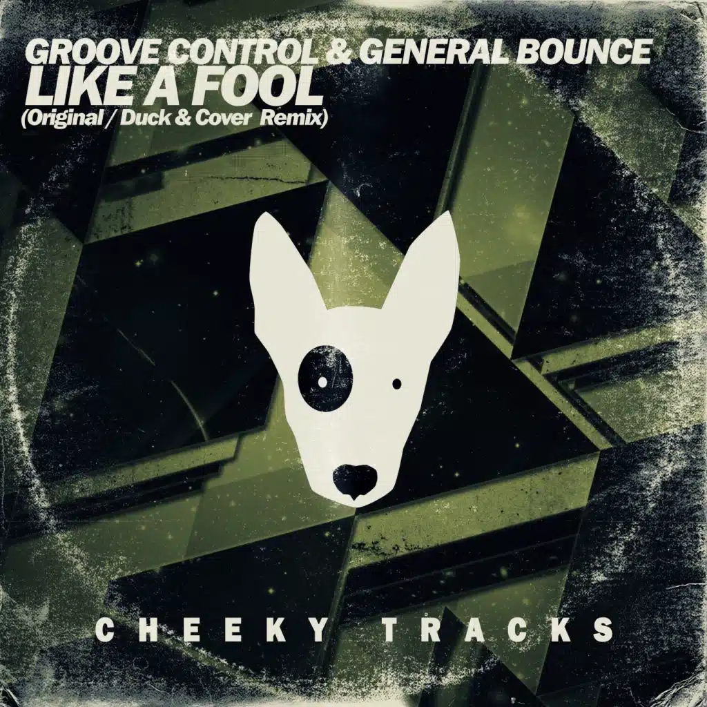 Like A Fool (Duck & Cover Remix)