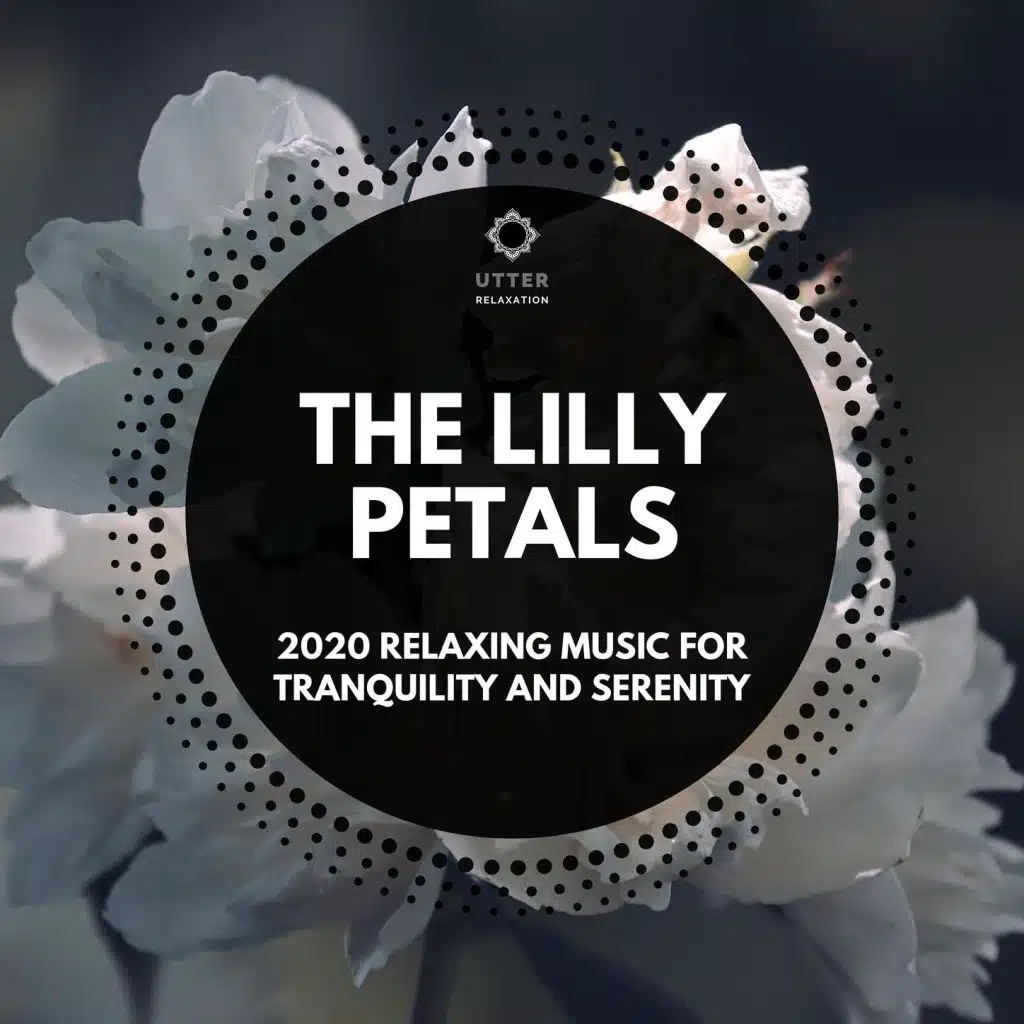 The Lilly Petals: 2020 Relaxing Music for Tranquility and Serenity