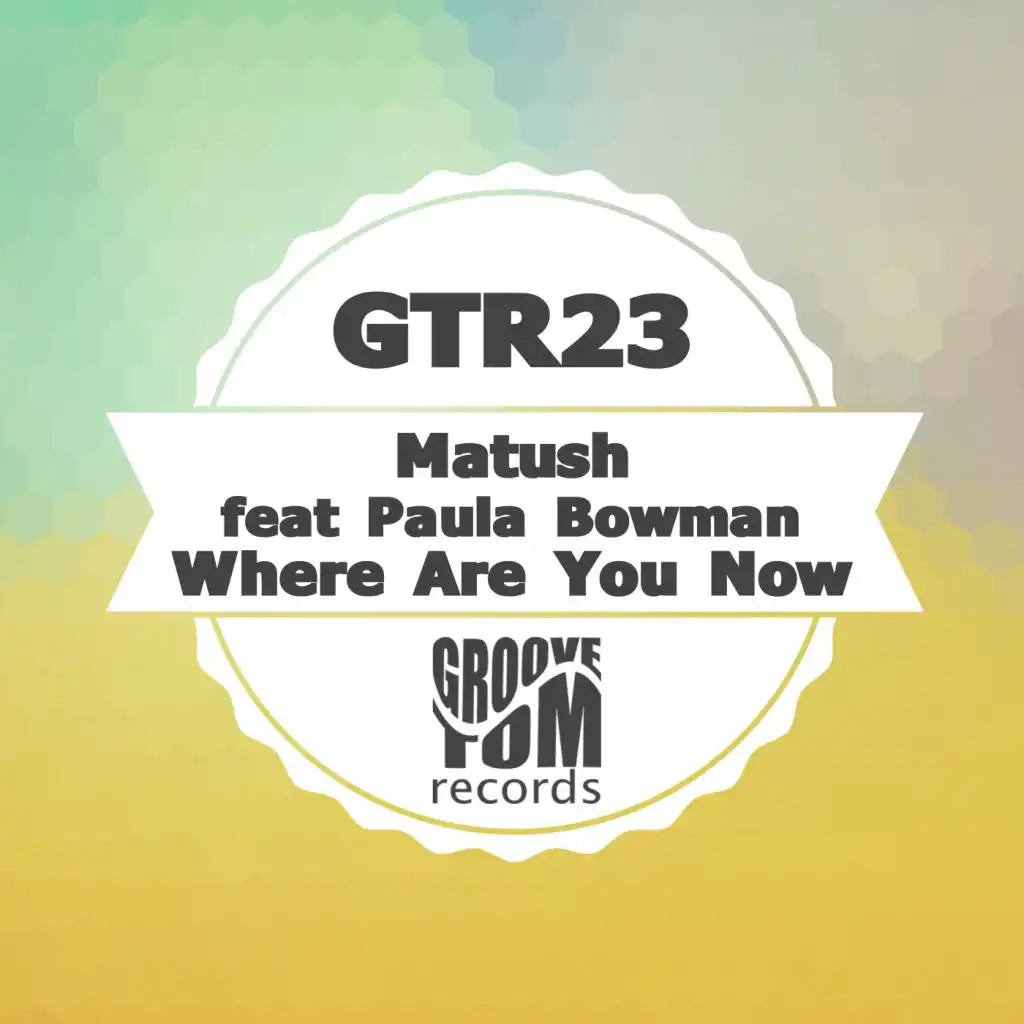 Where Are You Now (feat. Paula Bowman)