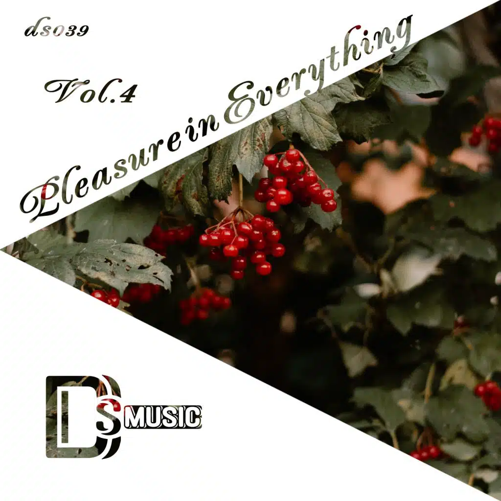 Pleasure in Everything, Vol.4