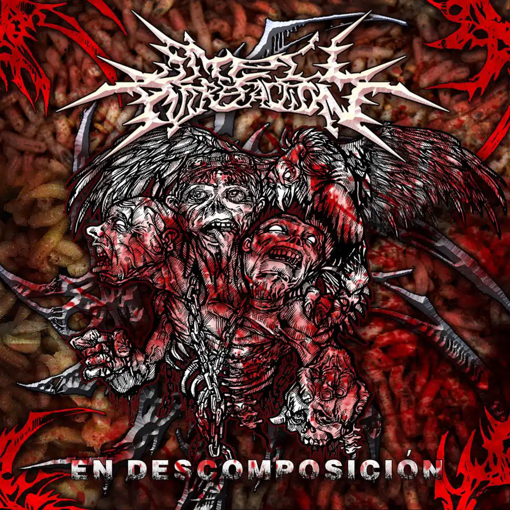 En Descomposicion