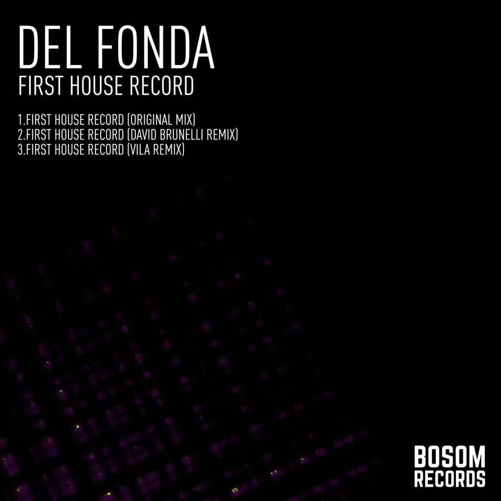 First House Record (Vila Remix)