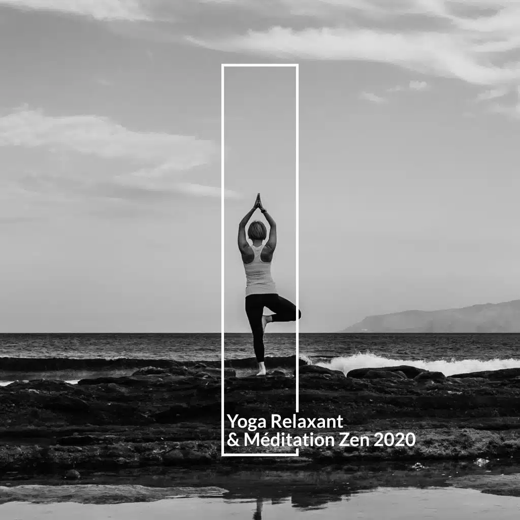 Yoga Relaxant & Méditation Zen 2020